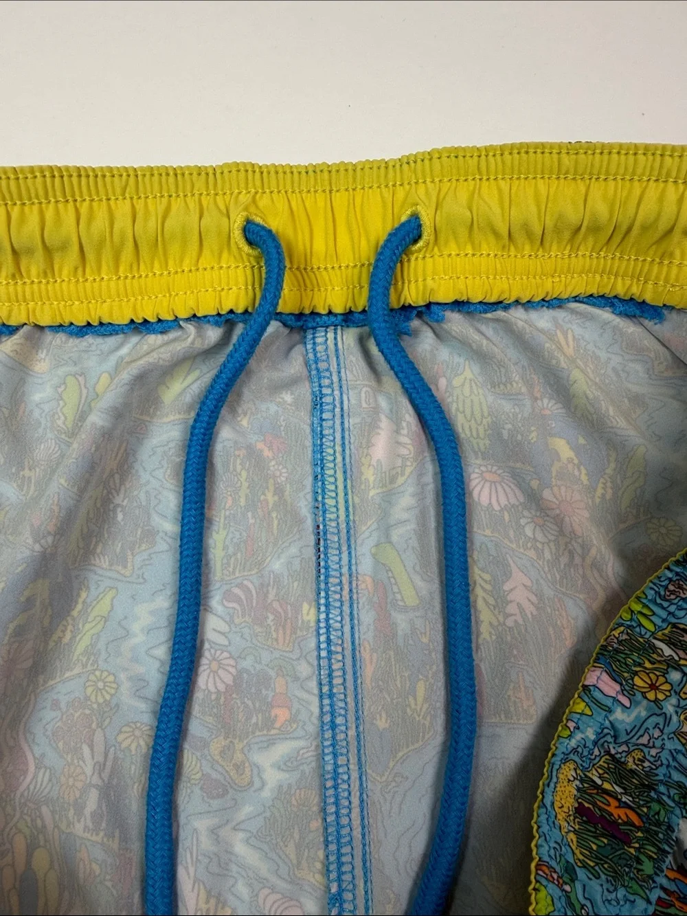 Bonobos Fielder Men’s Swim Trunks Large Scenic Print Board Short Beach Surf Swim